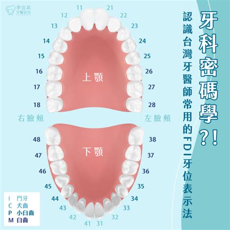 牙齒代表什麼|在國外看牙醫的實用英文 